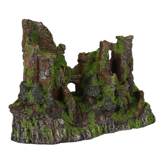 Picture of AD Moza Ruin