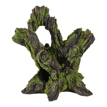 Imagem de AD Moza Stump 2