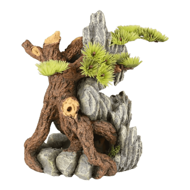 Imagem de AD Dio Roots+Plant