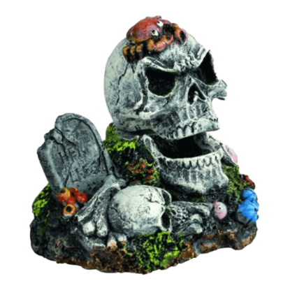 Imagem de Deco. Skull Move