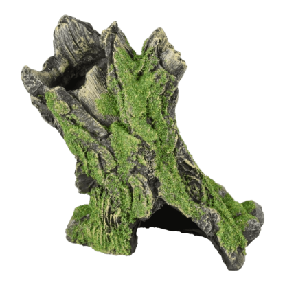 Imagem de AD Moza Stump 3