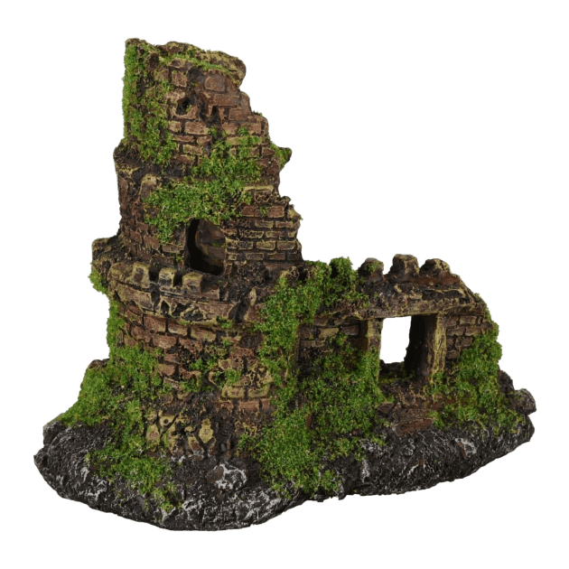 Picture of AD Moza Ruin 2