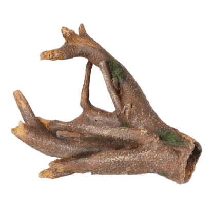 Imagem de AD Delia Roots