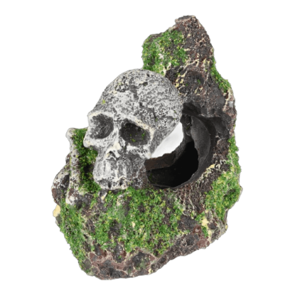 Imagem de AD Moza Skeleton+Rock