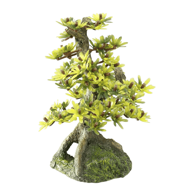 Imagen de Bonsai Medium Sort B
