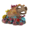 Imagem de Amphora Coral 1 Multicolor