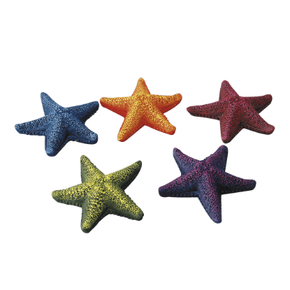 Imagem de Starfish Assort