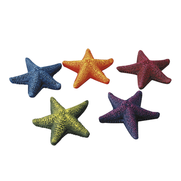 Picture of Starfish Assort