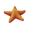 Picture of Starfish Assort