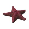 Picture of Starfish Assort
