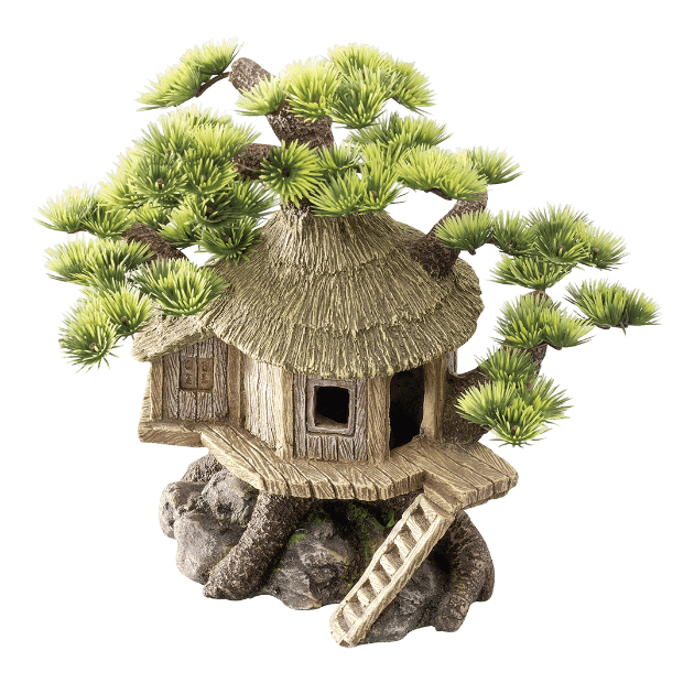 Picture of EBI - Bonsai House