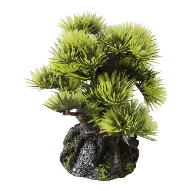 Imagem de Deco. Bonsai Mini Sort - B