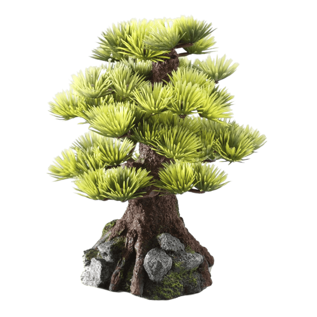 Picture of Deco. Bonsai Medio Sort. C