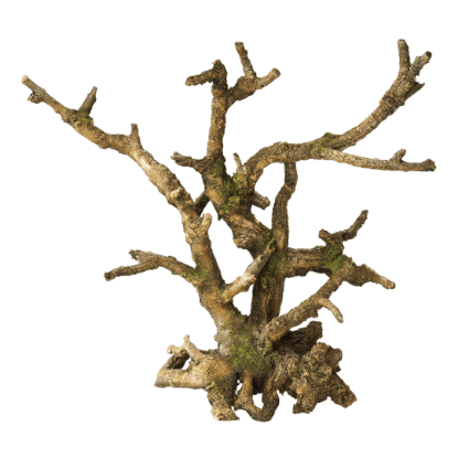 Imagem de Deco. Bonsai Without Leaves