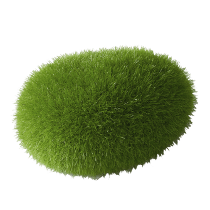 Imagem de Deco. Moss Ball - S