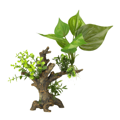 Imagem de Deco. Florascape 6 - S