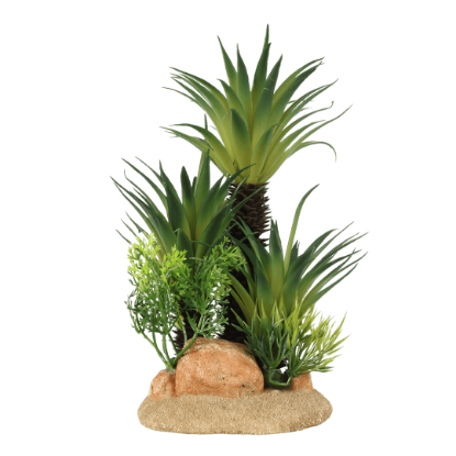 Imagem de Deco. Sago Palm - Medium