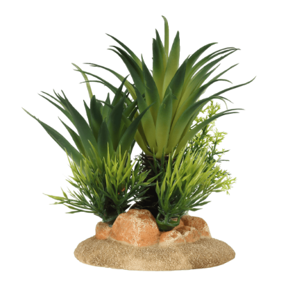 Imagem de Deco. Sago Palm - Small