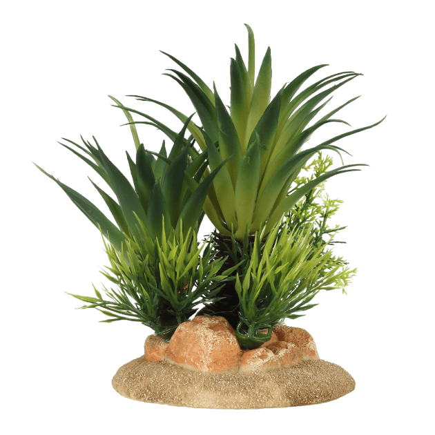 Picture of Deco. Sago Palm - Small