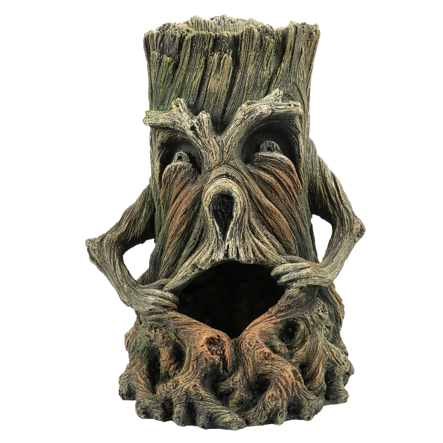 Picture of Tree Face 1