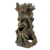 Picture of Tree Face 2