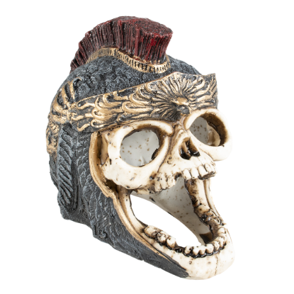 Imagem de Skull Roman - L