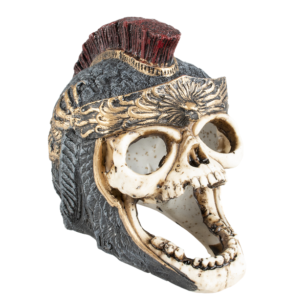 Imagen de Skull Roman - L