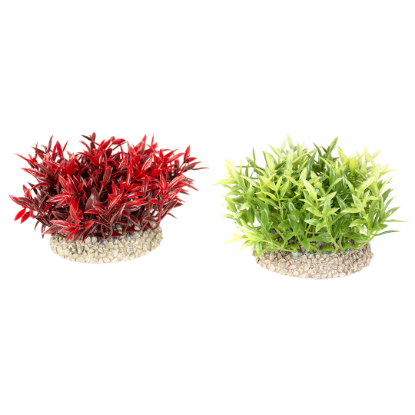 Imagem de Plant Miracle Moss Mixed Colors - S
