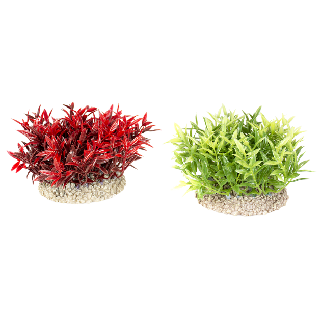 Imagem de Plant Miracle Moss Mixed Colors - S