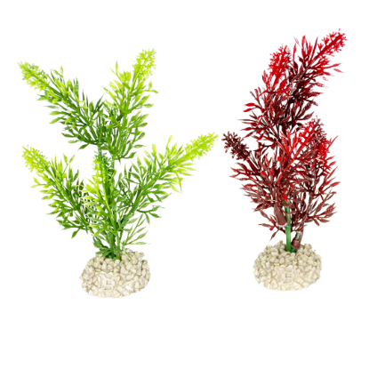 Imagem de Plant Elodea Densa Mixed Colors 1 - S