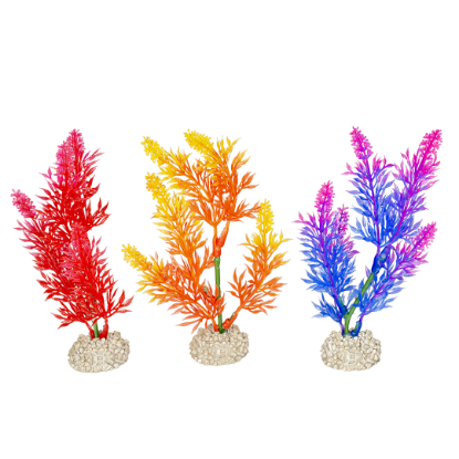 Imagem de Plant Elodea Densa Mixed Colors 2 - S