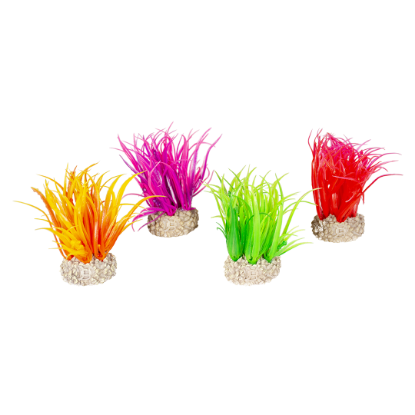 Imagem de Plant Hair Grass Mixed Colors - S