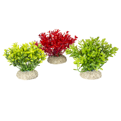 Imagem de Plant Glosso Mixed Colors 2 - S