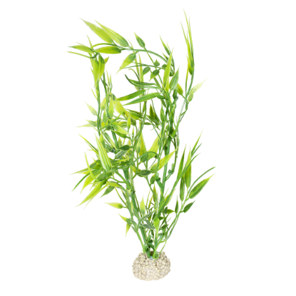 Imagem de Plant Bamboo Green - M