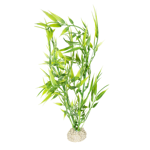 Imagem de Plant Bamboo Green - M