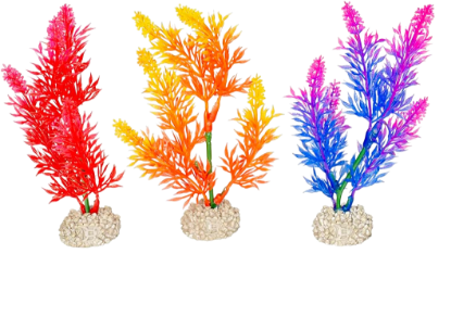 Imagem de Plant Elodea Densa Mixed Colors - M