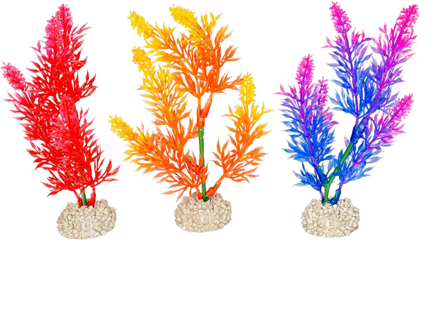 Imagen de Plant Elodea Densa Mixed Colors - M