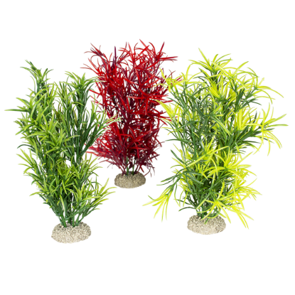 Imagem de Plant Hydrilla Mixed Colors 1 - L