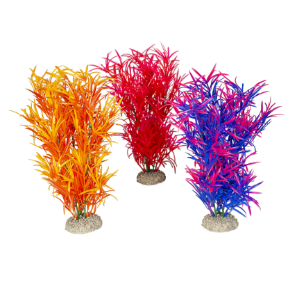 Imagem de Plant Hydrilla Mixed Colors 2 - L