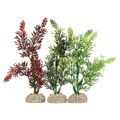 Imagem de Plant Elodea Densa Mixed Colors - XL