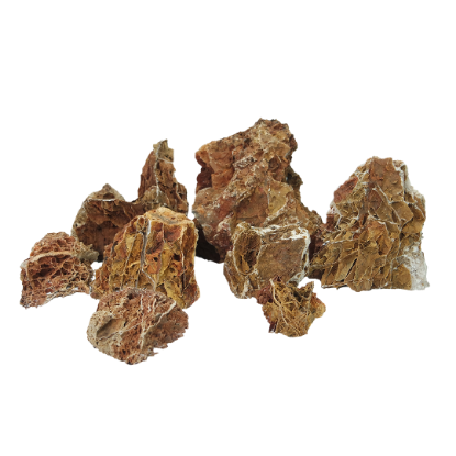 Imagem de Scorro Brown - M