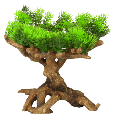 Imagem de Deco. Florascape 11 - M