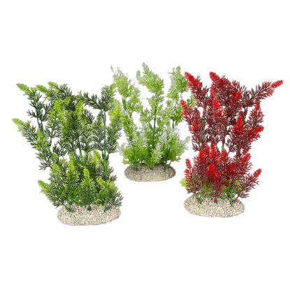 Imagem de Plant Elodea Densa Mixed Colors - M