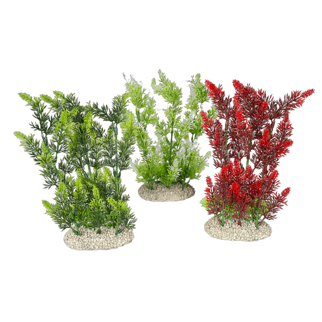 Imagem de Plant Elodea Densa Mixed Colors - M