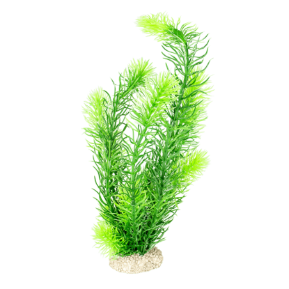 Imagem de Plant Hornwort Dark Green - L