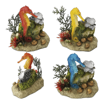 Imagem de Seahorse with Plant