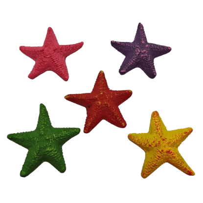 Imagem de Decoration Starfish